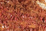 Ruby Red Vanadinite Crystals on Orange Barite - Morocco #196365-2